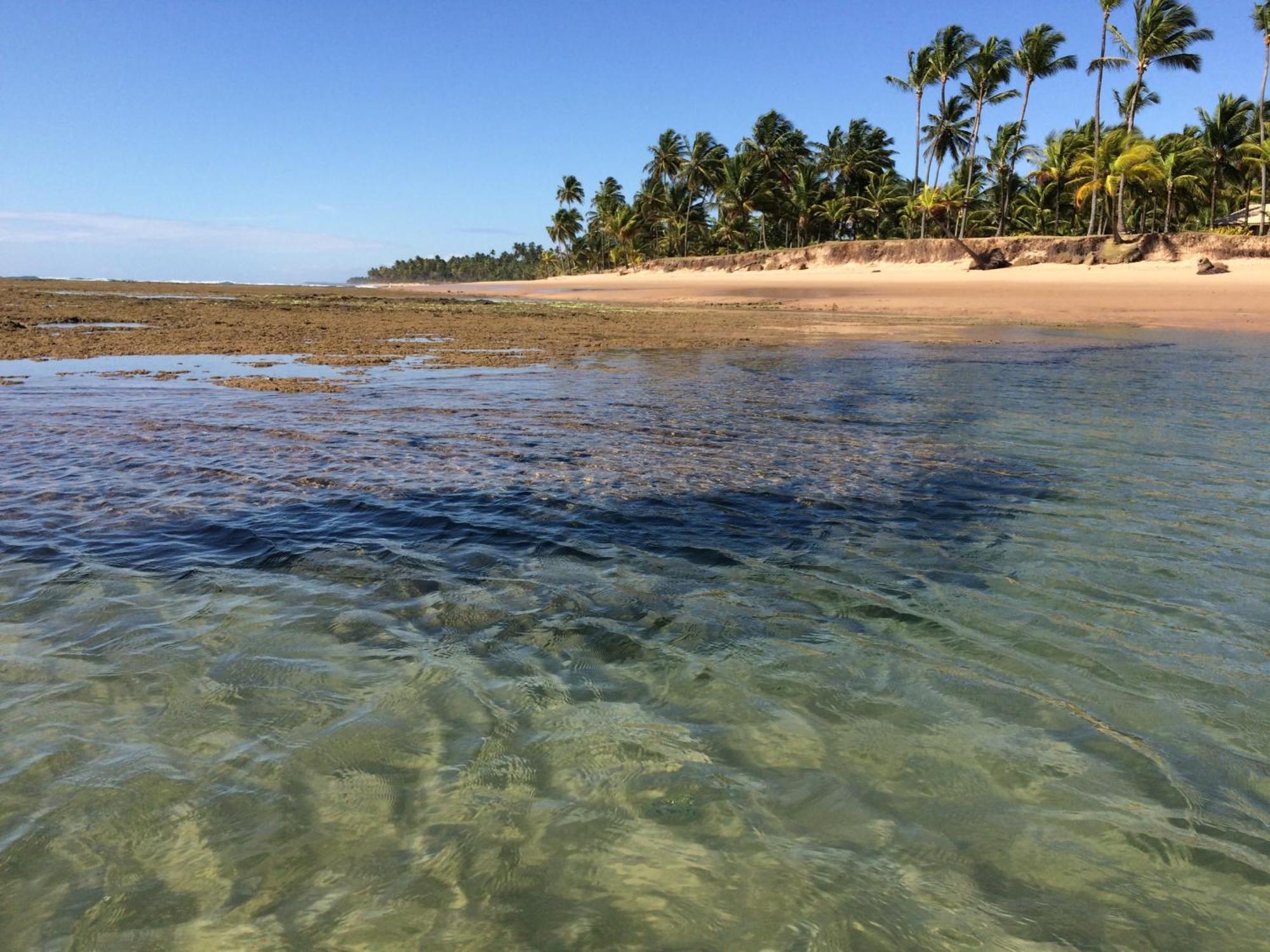 Pousada Velas E Vento - Barra Grande, Taipu De Fora, Marau 바라 그란데 외부 사진